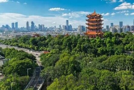 查看各类足球实时比分-足球迷必备！全网最全实时比分查看攻略，从此告别信息滞后